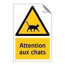 Attention aux chats