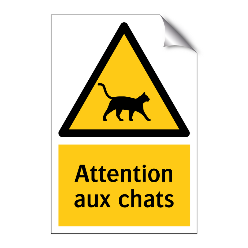 Attention aux chats