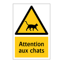 Attention aux chats