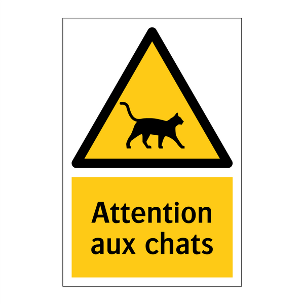 Attention aux chats