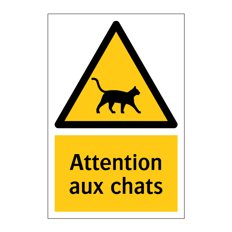 Attention aux chats
