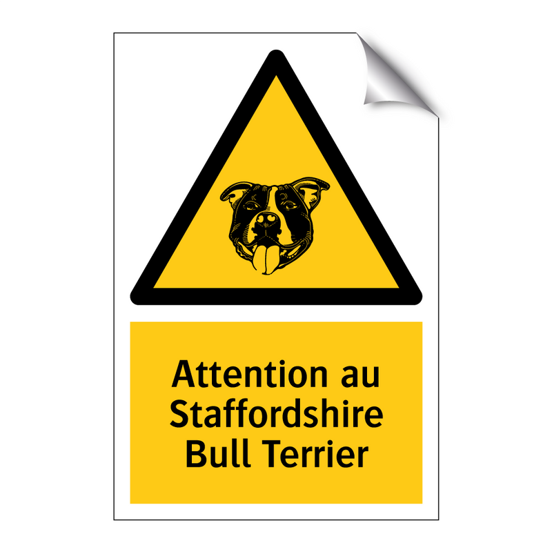 Attention au Staffordshire Bull Terrier