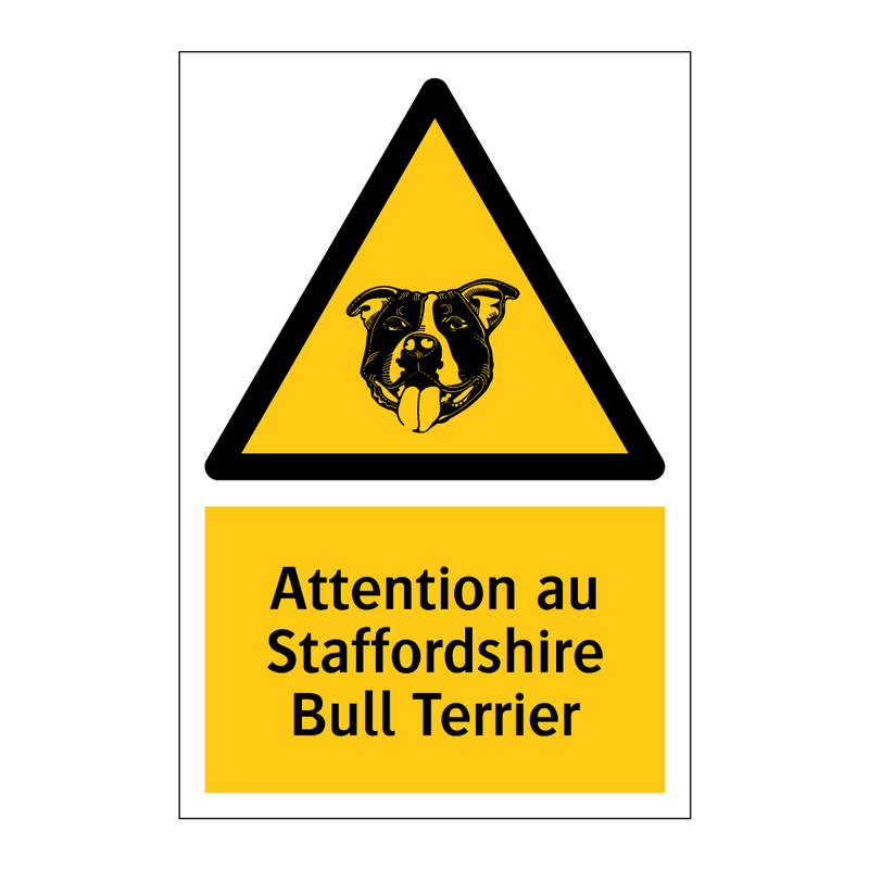 Attention au Staffordshire Bull Terrier