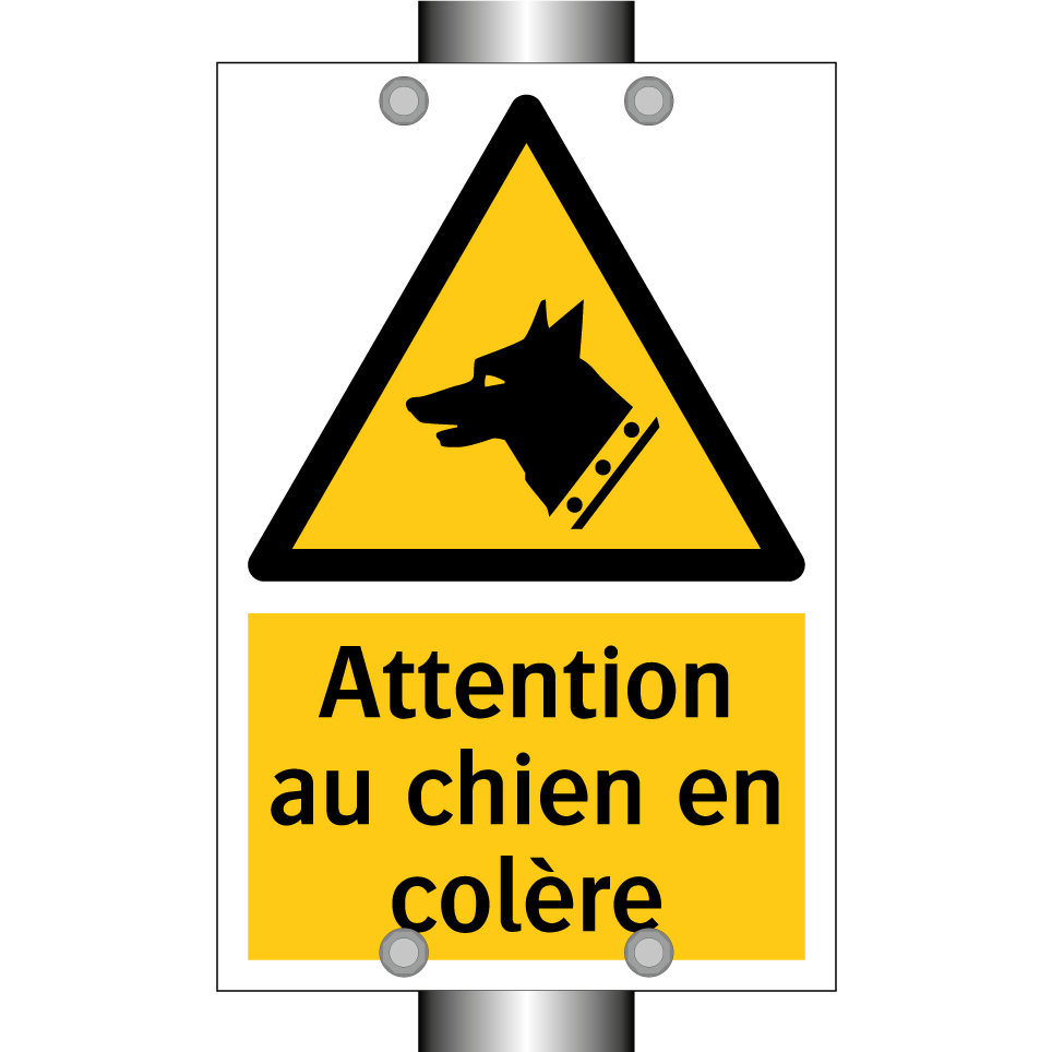 Attention au chien en colère