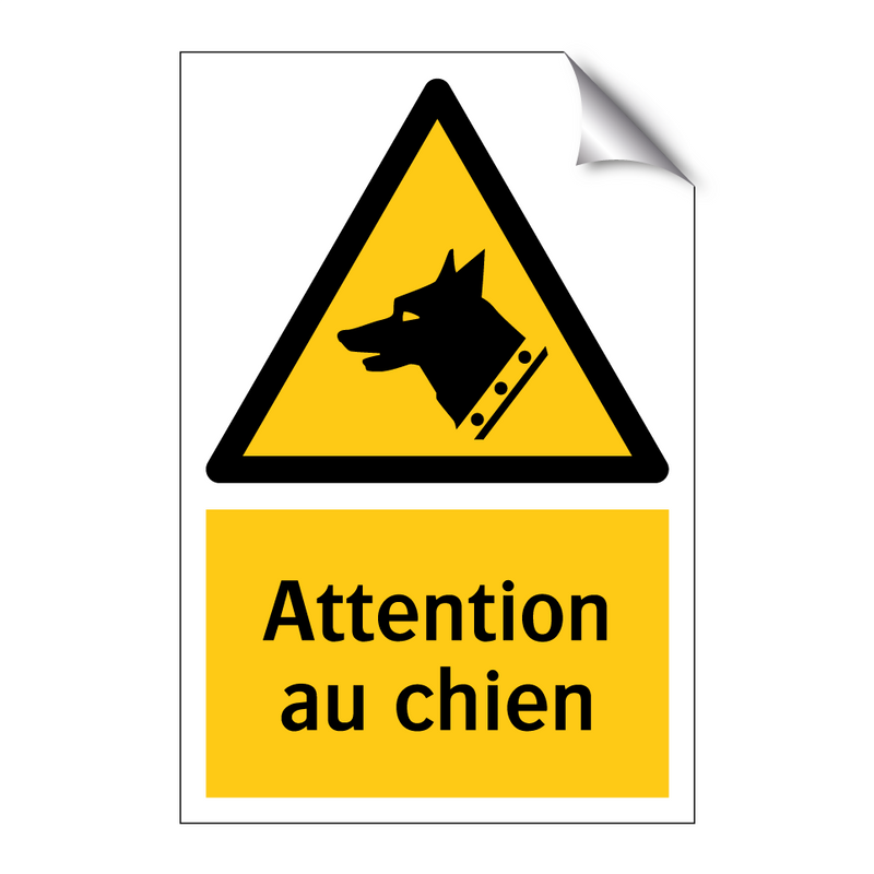 Attention au chien