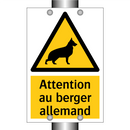 Attention au berger allemand