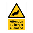 Attention au berger allemand