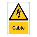 Câble