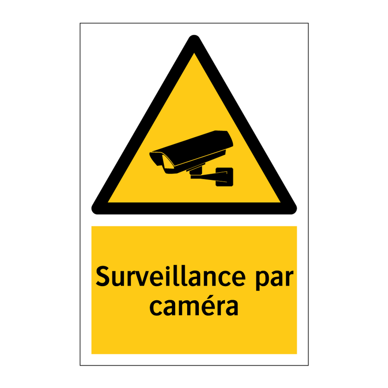 Surveillance par caméra