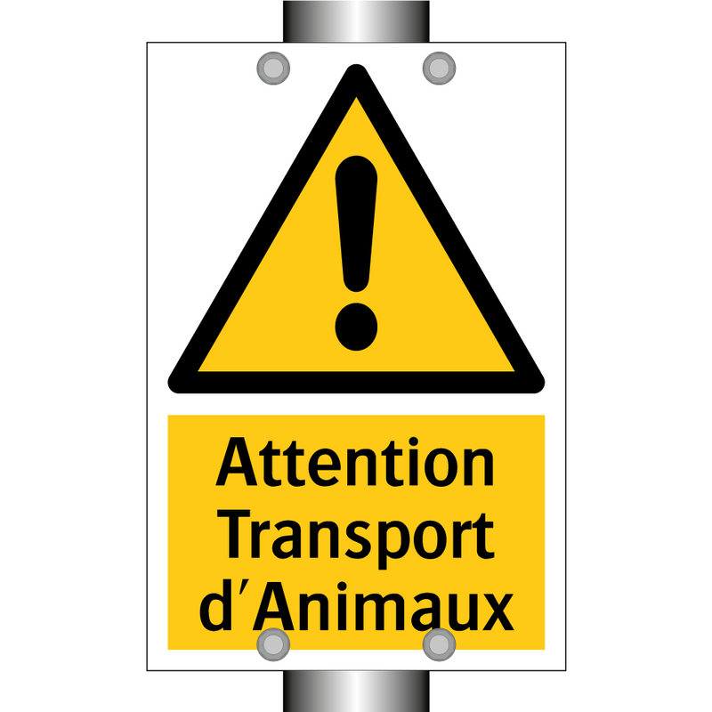 Attention Transport d'Animaux