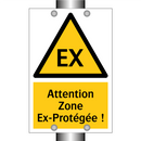 Attention Zone Ex-Protégée !