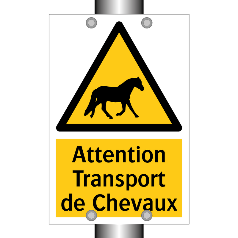 Attention Transport de Chevaux