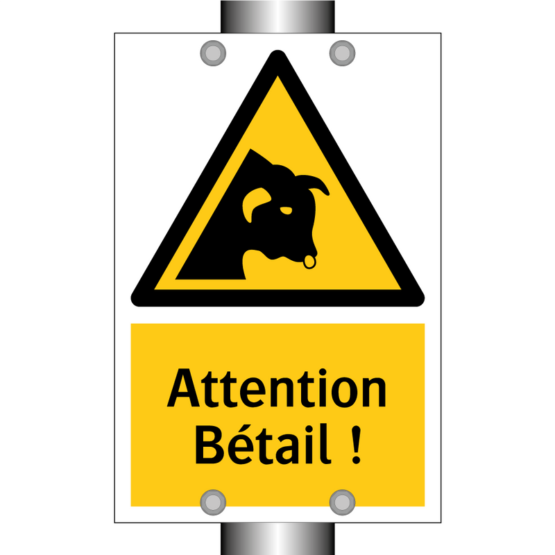 Attention Bétail !