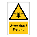 Attention ! Frelons