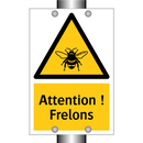 Attention ! Frelons