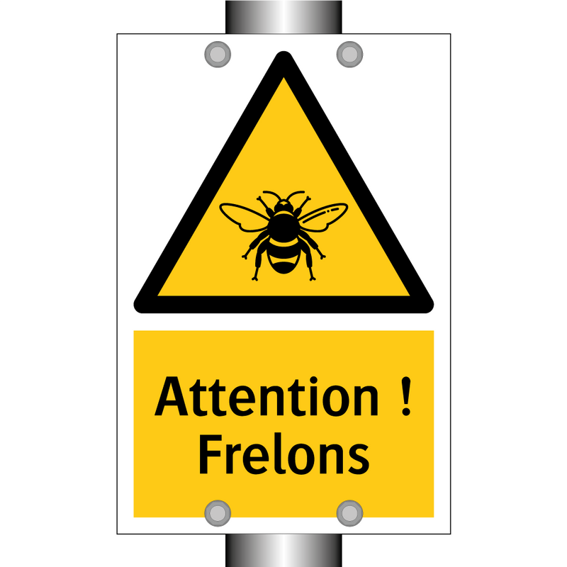 Attention ! Frelons