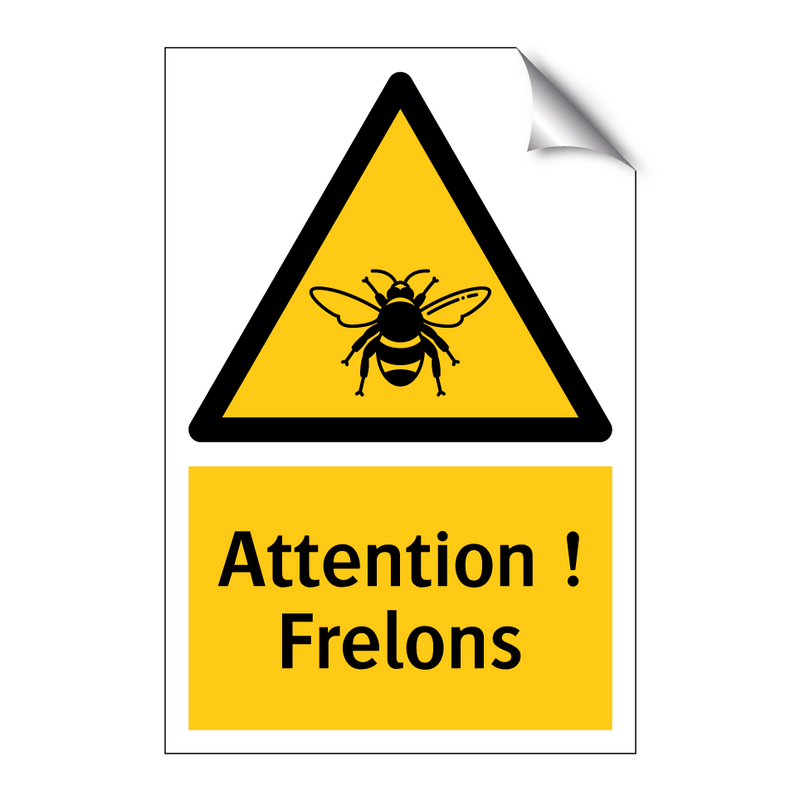 Attention ! Frelons