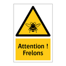 Attention ! Frelons