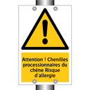 Attention ! Chenilles processionnaires du chêne Risque d'allergie