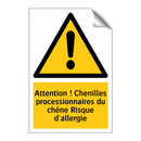 Attention ! Chenilles processionnaires du chêne Risque d'allergie