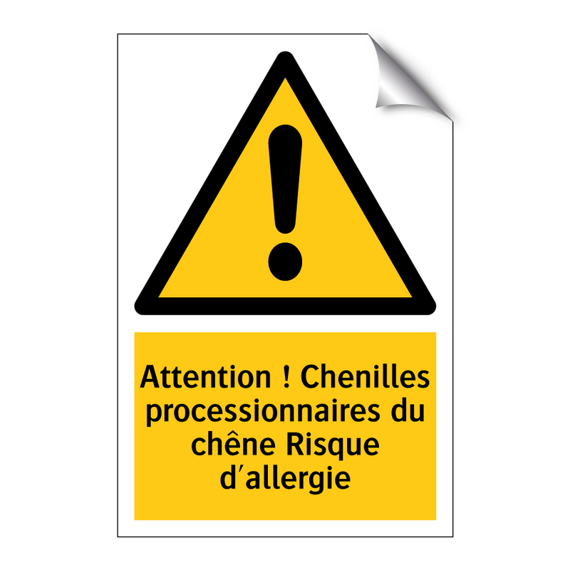 Attention ! Chenilles processionnaires du chêne Risque d'allergie