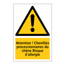 Attention ! Chenilles processionnaires du chêne Risque d'allergie