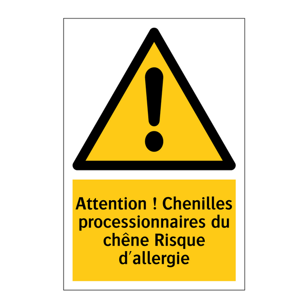 Attention ! Chenilles processionnaires du chêne Risque d'allergie