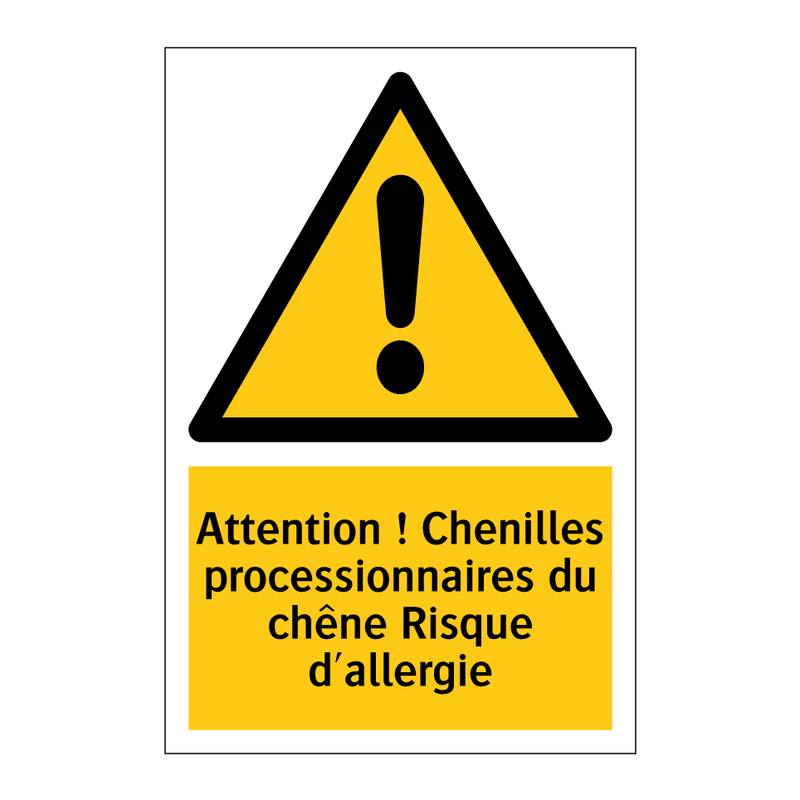 Attention ! Chenilles processionnaires du chêne Risque d'allergie