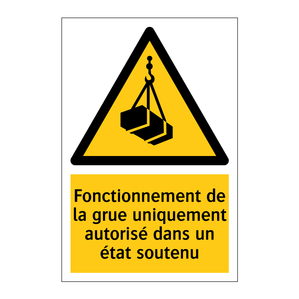Fonctionnement de la grue uniquement autorisé dans un état soutenu