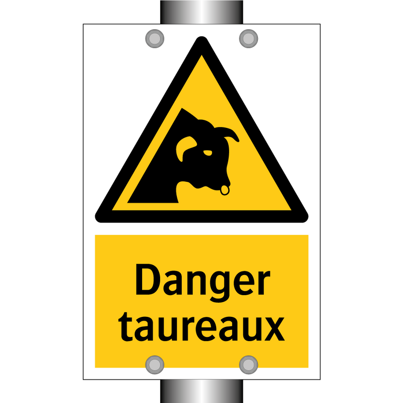 Danger taureaux