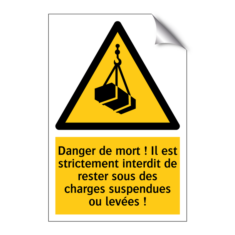 Danger de mort ! Il est strictement interdit de rester sous des charges suspendues ou levées !