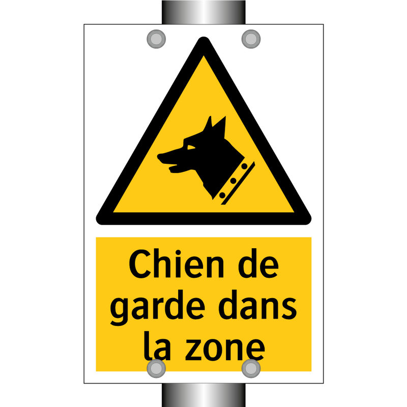 Chien de garde dans la zone