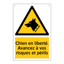 Chien en liberté. Avancez à vos risques et périls
