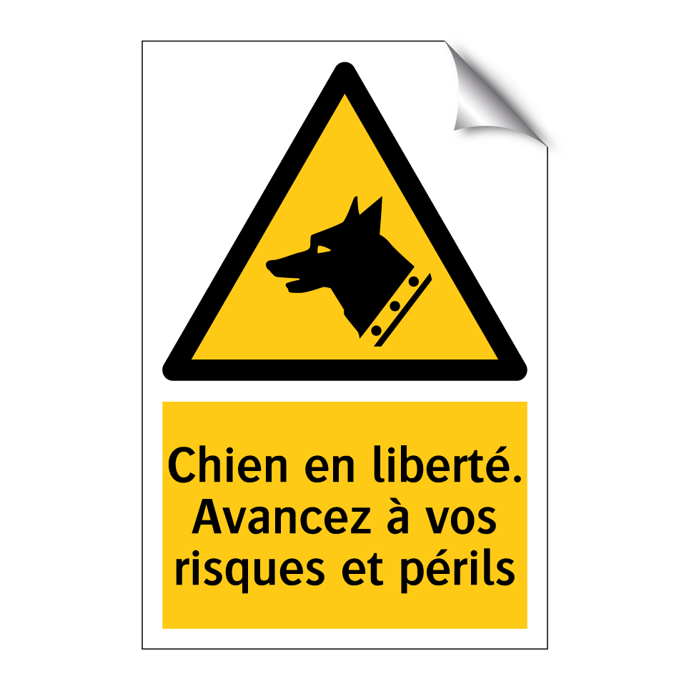 Chien en liberté. Avancez à vos risques et périls