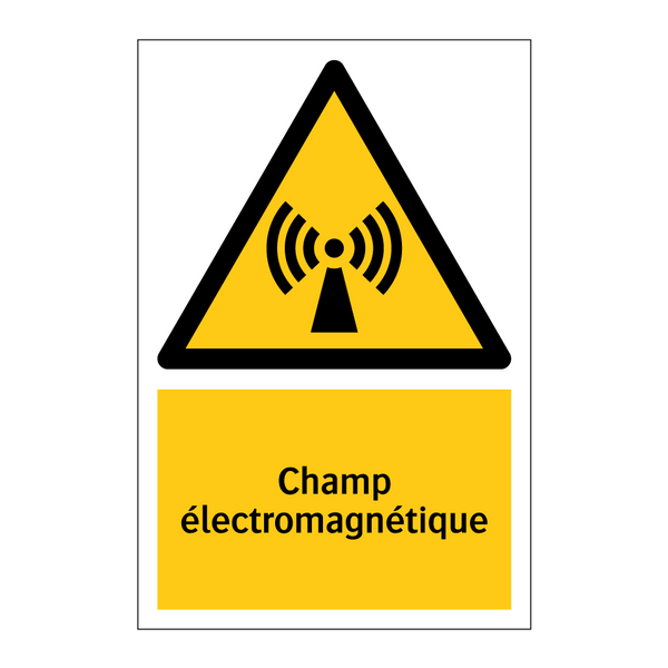 Champ électromagnétique
