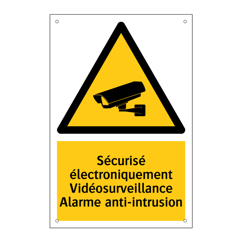 Sécurisé électroniquement Vidéosurveillance Alarme anti-intrusion