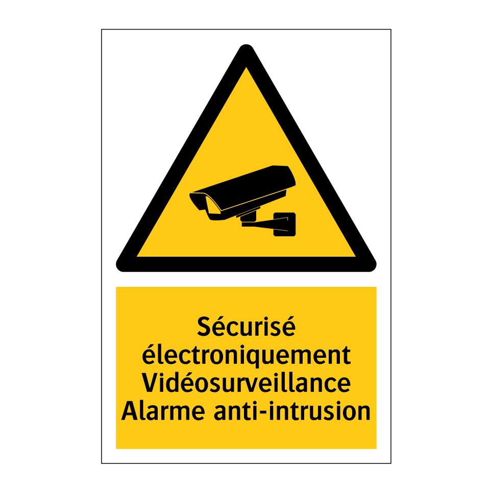 Sécurisé électroniquement Vidéosurveillance Alarme anti-intrusion