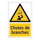 Chutes de branches