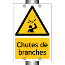 Chutes de branches