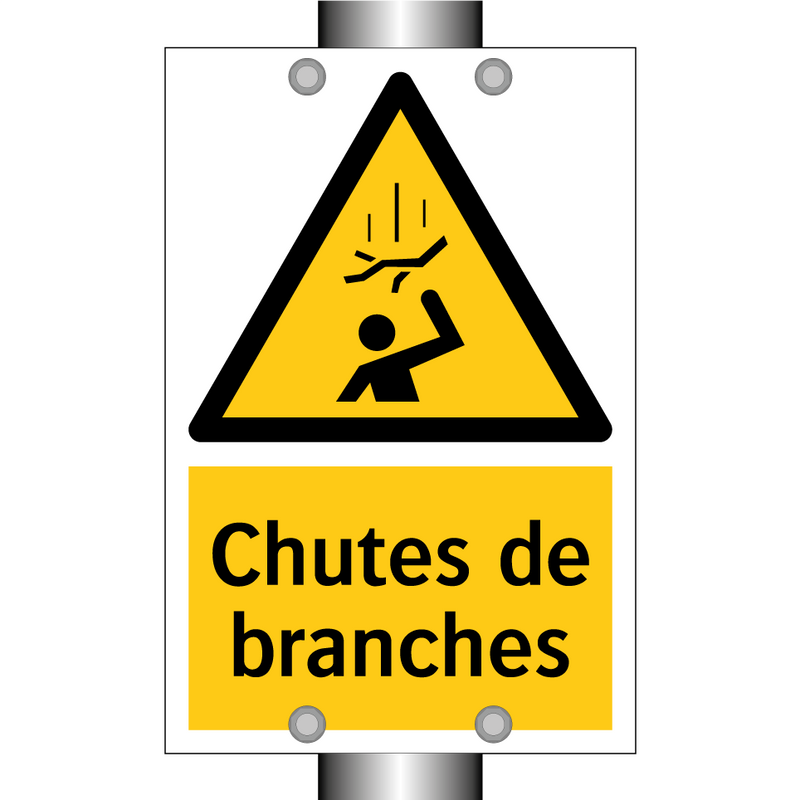 Chutes de branches
