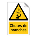 Chutes de branches