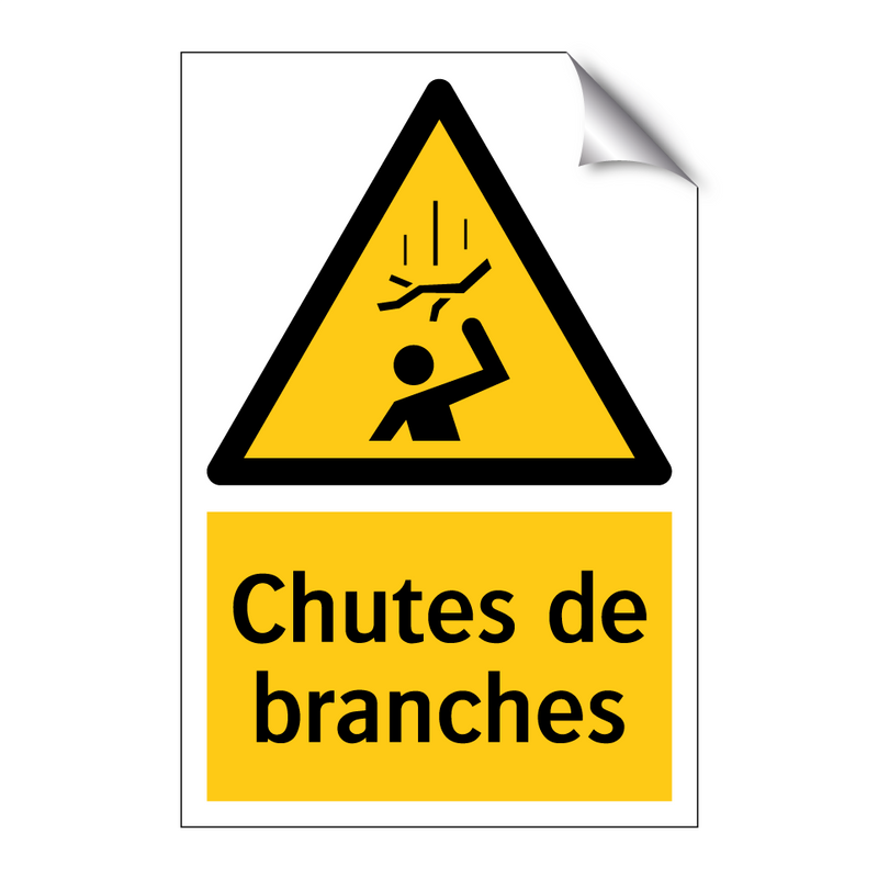 Chutes de branches