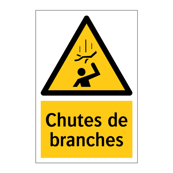 Chutes de branches