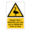 Danger Oies ! Attention aux oies qui se déplacent dans la zone