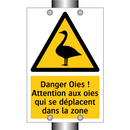Danger Oies ! Attention aux oies qui se déplacent dans la zone