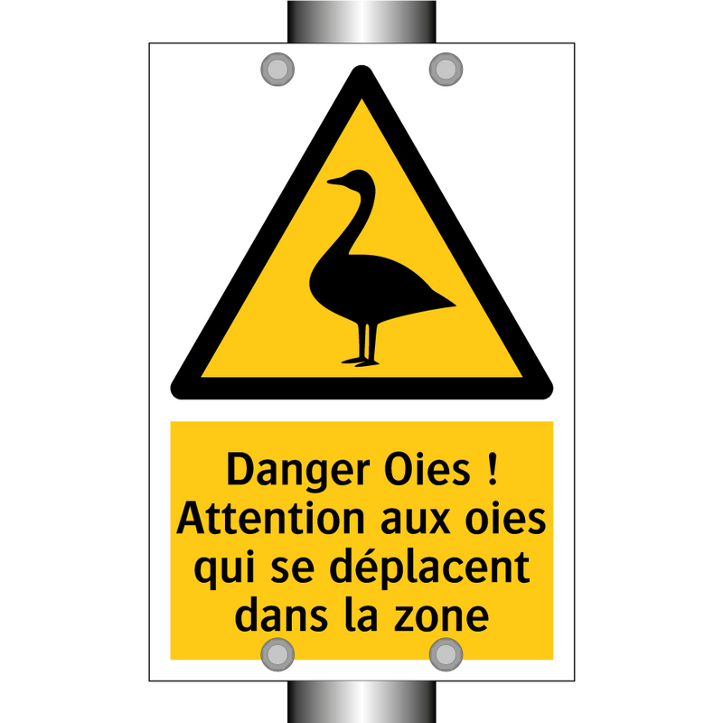 Danger Oies ! Attention aux oies qui se déplacent dans la zone