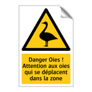 Danger Oies ! Attention aux oies qui se déplacent dans la zone