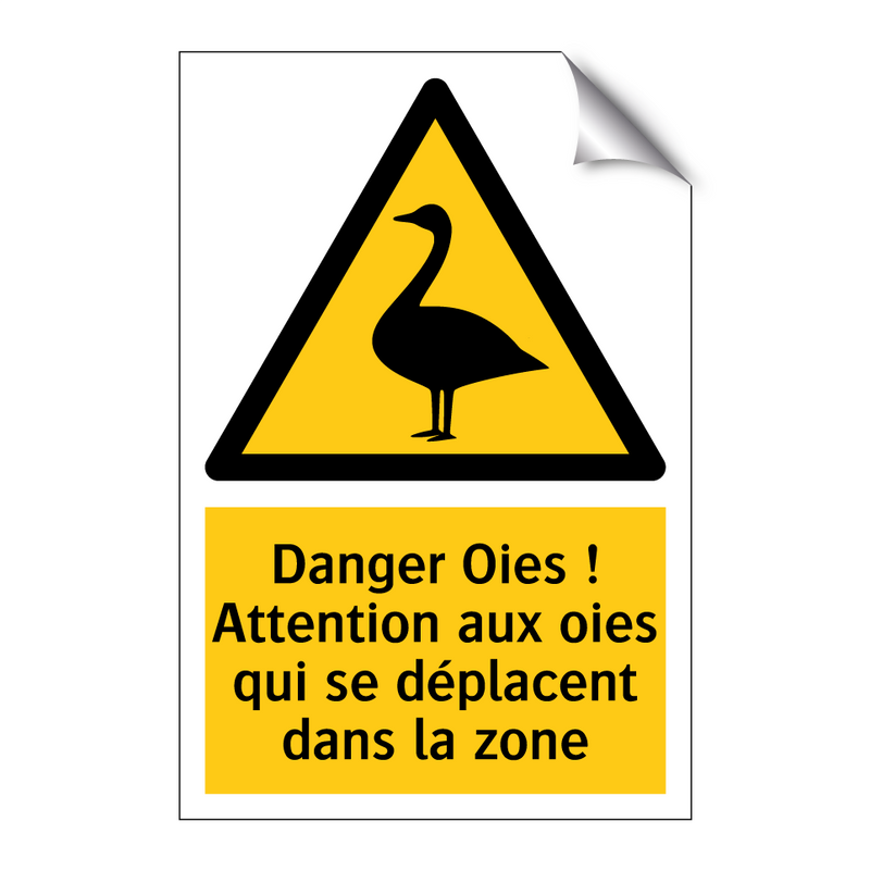 Danger Oies ! Attention aux oies qui se déplacent dans la zone