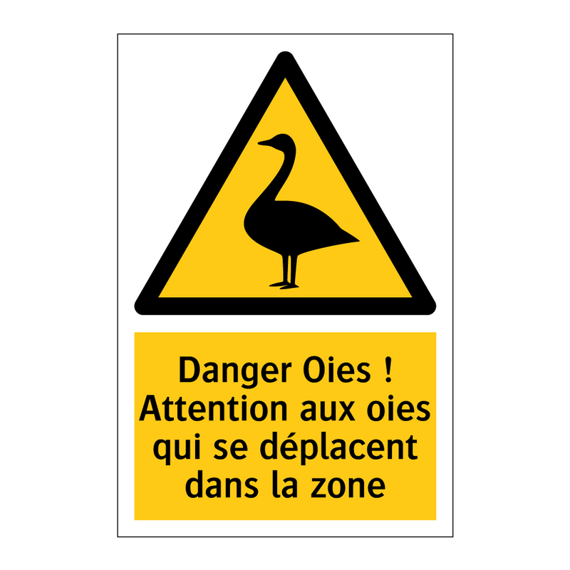 Danger Oies ! Attention aux oies qui se déplacent dans la zone