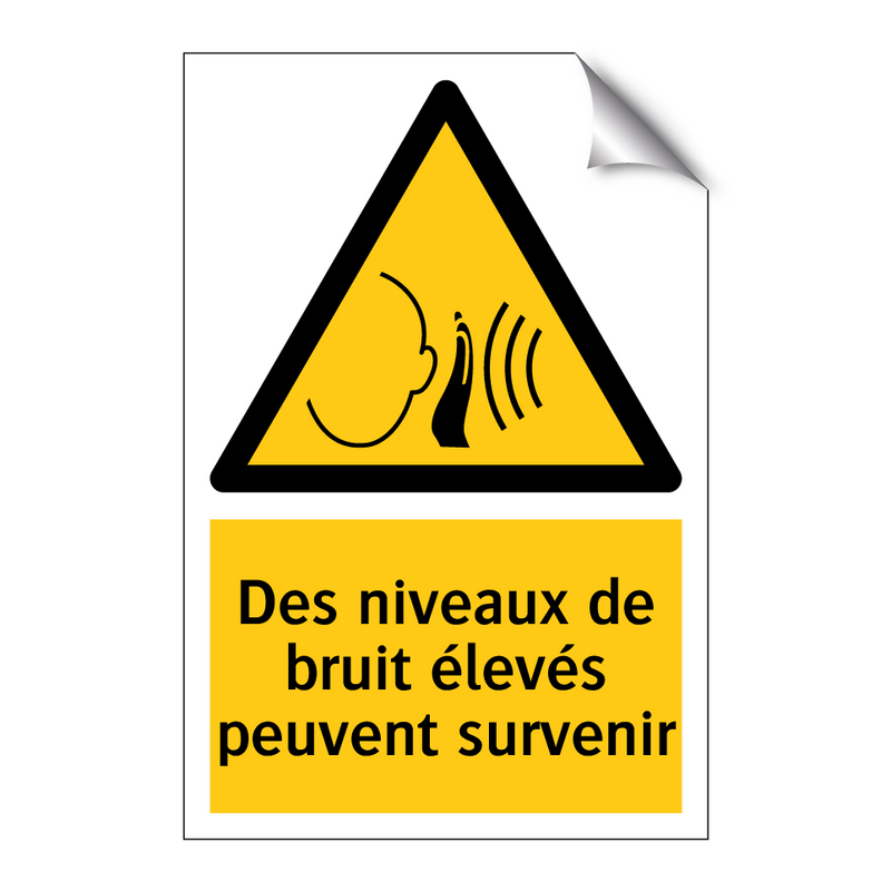 Des niveaux de bruit élevés peuvent survenir